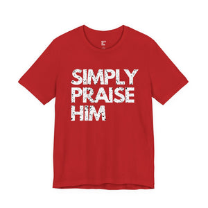 Simply Praise Him Premium Distressed Unisex Tee